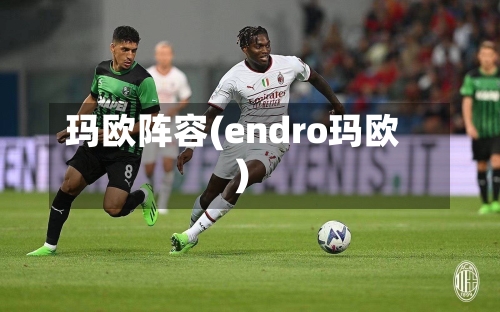 玛欧阵容(endro玛欧)
