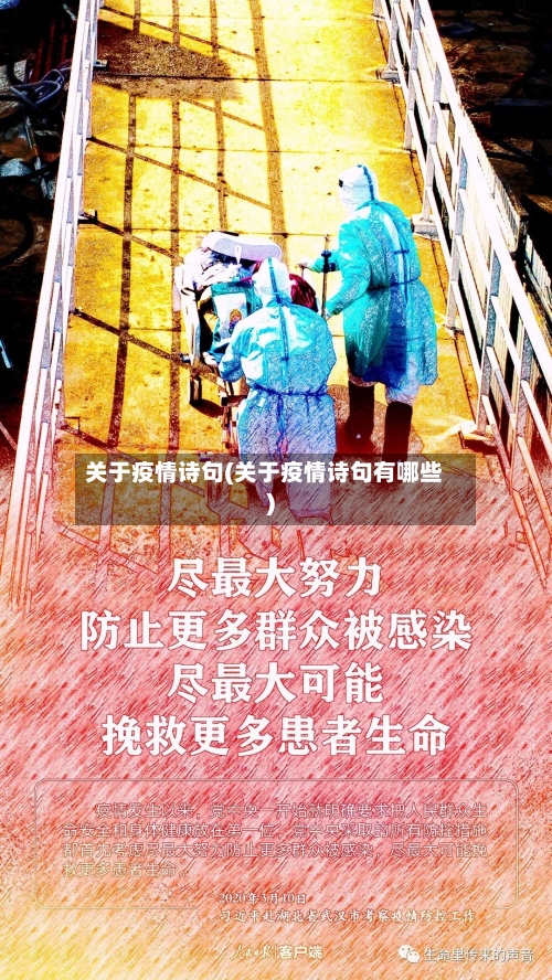 关于疫情诗句(关于疫情诗句有哪些)
