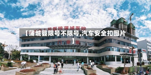 【蒲城县限号不限号,汽车安全扣图片】-第2张图片