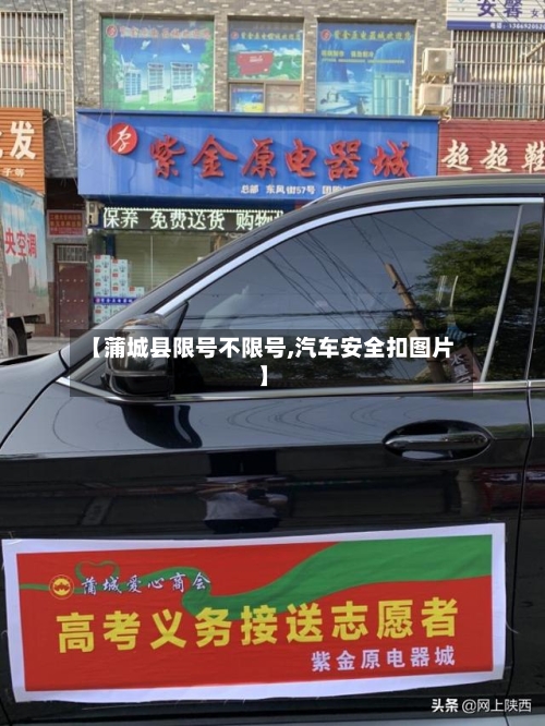 【蒲城县限号不限号,汽车安全扣图片】-第3张图片