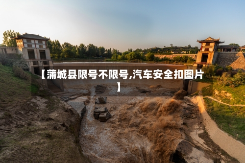 【蒲城县限号不限号,汽车安全扣图片】