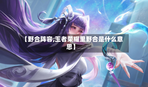 【野合阵容,王者荣耀里野合是什么意思】