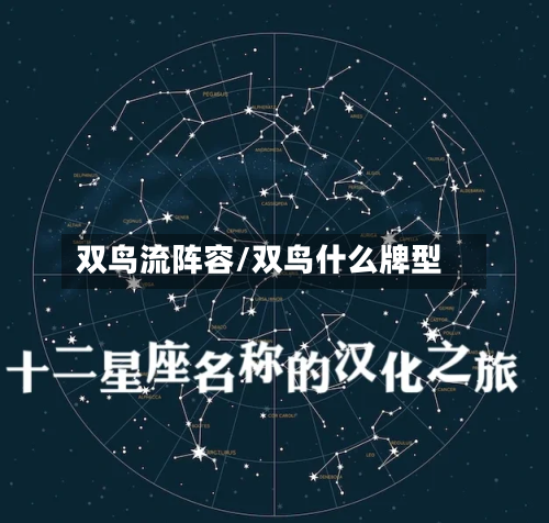 双鸟流阵容/双鸟什么牌型