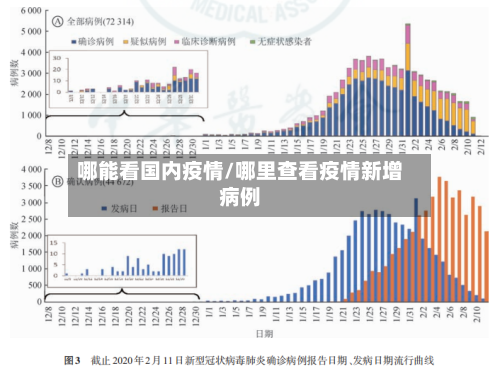 哪能看国内疫情/哪里查看疫情新增病例-第2张图片
