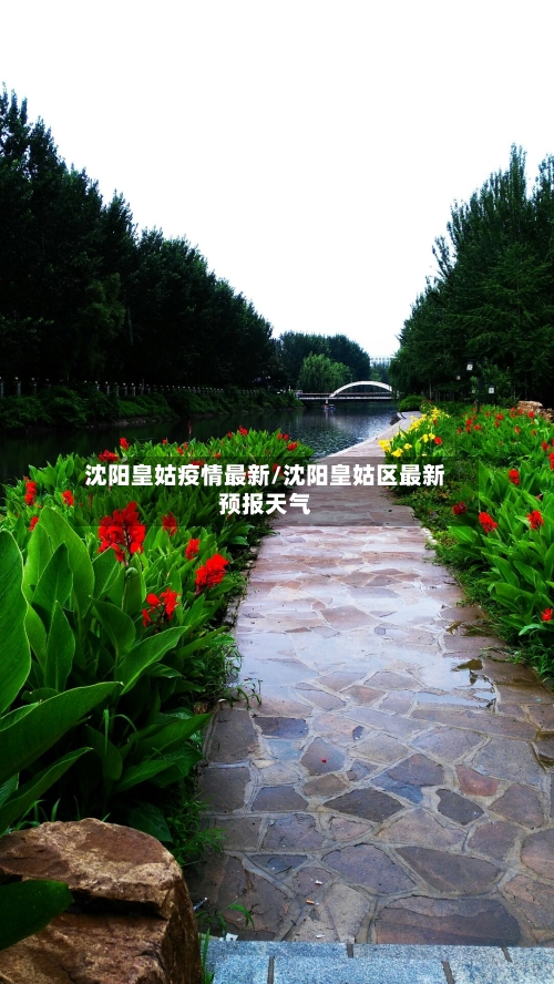 沈阳皇姑疫情最新/沈阳皇姑区最新预报天气
