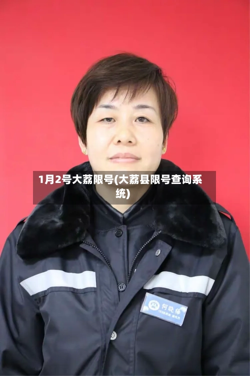1月2号大荔限号(大荔县限号查询系统)-第2张图片
