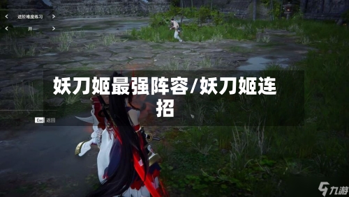 妖刀姬最强阵容/妖刀姬连招