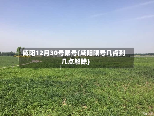 咸阳12月30号限号(咸阳限号几点到几点解除)-第2张图片