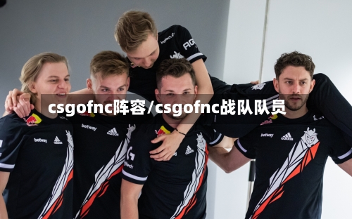 csgofnc阵容/csgofnc战队队员