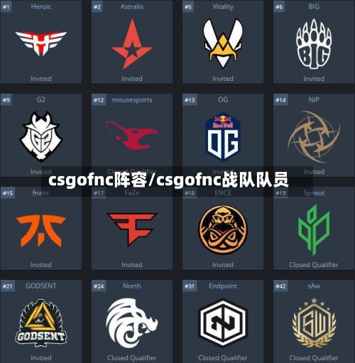 csgofnc阵容/csgofnc战队队员-第2张图片