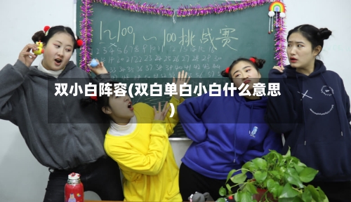 双小白阵容(双白单白小白什么意思)