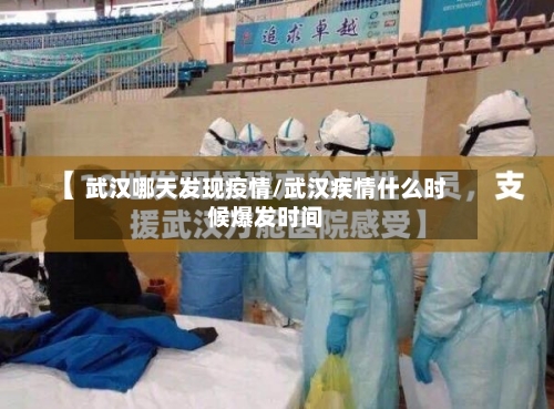 武汉哪天发现疫情/武汉疾情什么时候爆发时间-第2张图片