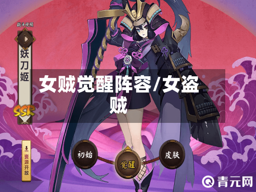 女贼觉醒阵容/女盗贼