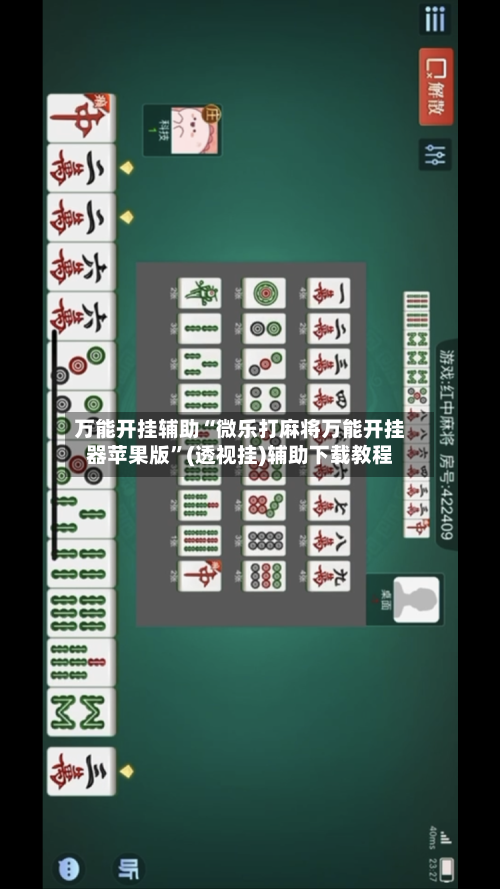 万能开挂辅助“微乐打麻将万能开挂器苹果版”(透视挂)辅助下载教程-第3张图片