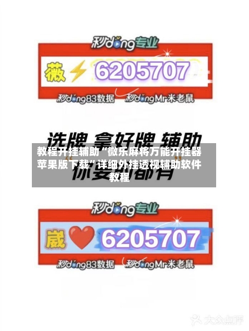 教程开挂辅助“微乐麻将万能开挂器苹果版下载”详细外挂透视辅助软件教程-第3张图片