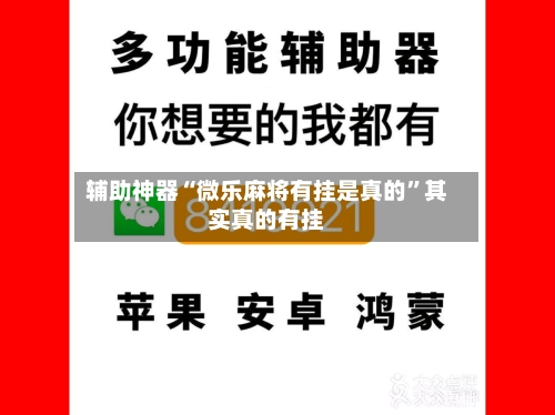 辅助神器“微乐麻将有挂是真的”其实真的有挂