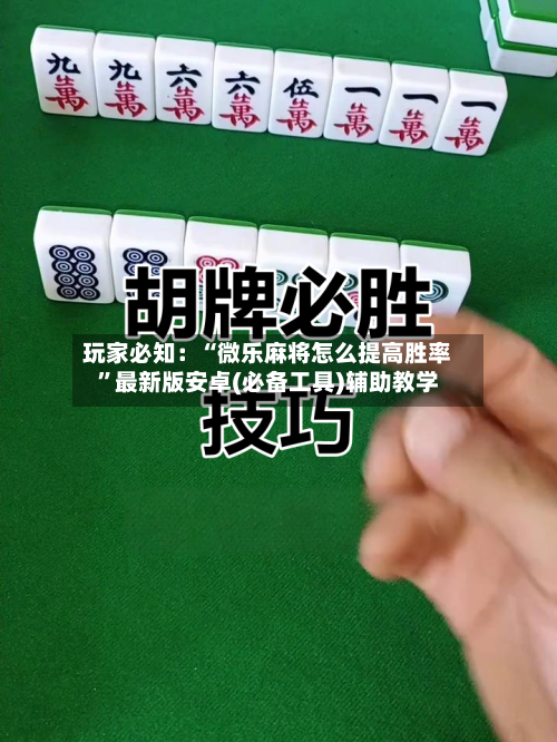 玩家必知：“微乐麻将怎么提高胜率”最新版安卓(必备工具)辅助教学-第2张图片