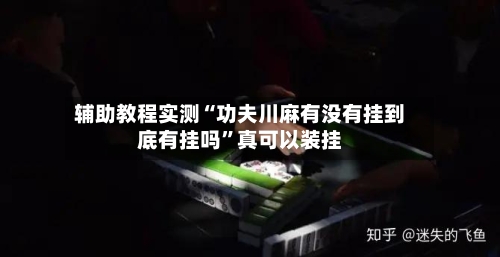 辅助教程实测“功夫川麻有没有挂到底有挂吗”真可以装挂-第2张图片