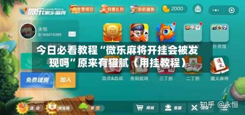 今日必看教程“微乐麻将开挂会被发现吗”原来有猫腻（用挂教程）-第3张图片
