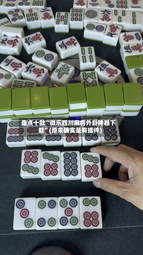 盘点十款“微乐四川麻将外卦神器下载”(原来确实是有插件)-第2张图片