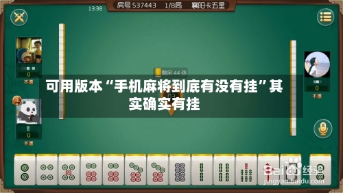 可用版本“手机麻将到底有没有挂	”其实确实有挂-第2张图片