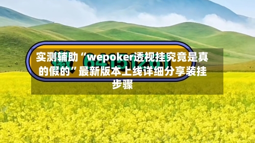 实测辅助“wepoker透视挂究竟是真的假的”最新版本上线详细分享装挂步骤