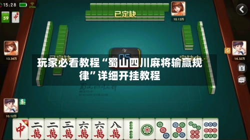 玩家必看教程“蜀山四川麻将输赢规律	”详细开挂教程-第2张图片