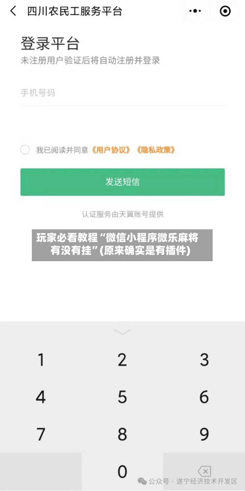 玩家必看教程“微信小程序微乐麻将有没有挂	”(原来确实是有插件)-第3张图片