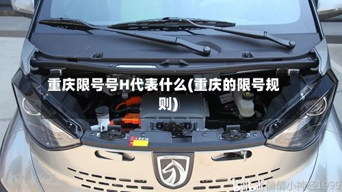 重庆限号号H代表什么(重庆的限号规则)