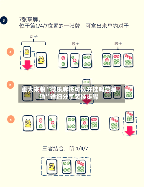 重大来袭“微乐麻将可以开挂吗总是输”详细分享装挂步骤-第2张图片