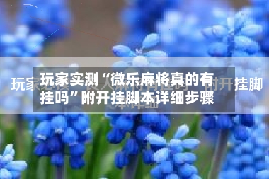 玩家实测“微乐麻将真的有挂吗”附开挂脚本详细步骤-第2张图片