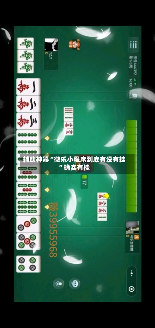 辅助神器“微乐小程序到底有没有挂	”确实有挂-第2张图片