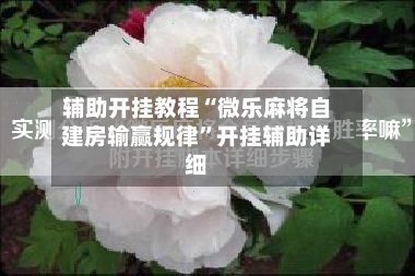 辅助开挂教程“微乐麻将自建房输赢规律”开挂辅助详细-第2张图片