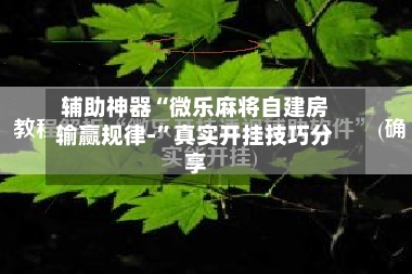 辅助神器“微乐麻将自建房输赢规律-”真实开挂技巧分享-第3张图片