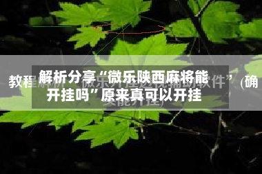 解析分享“微乐陕西麻将能开挂吗”原来真可以开挂-第1张图片