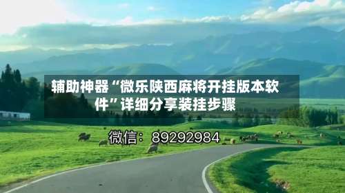 辅助神器“微乐陕西麻将开挂版本软件”详细分享装挂步骤