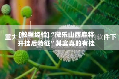 [教程经验]“微乐山西麻将开挂后特征	”其实真的有挂-第2张图片