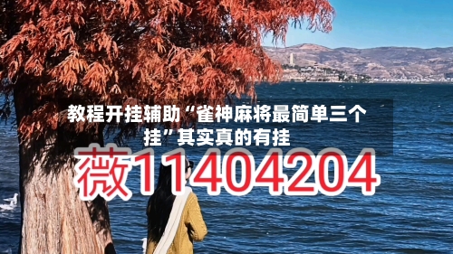 教程开挂辅助“雀神麻将最简单三个挂”其实真的有挂-第3张图片