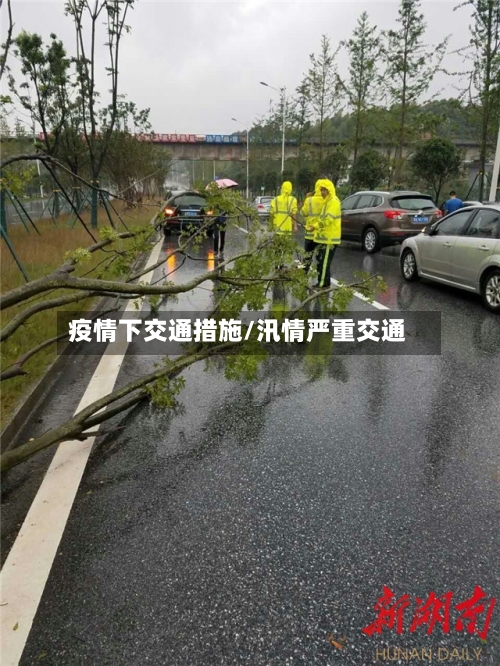 疫情下交通措施/汛情严重交通-第2张图片
