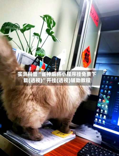实测科普“雀神麻将小程序挂免费下载(透视)”开挂(透视)辅助教程-第2张图片