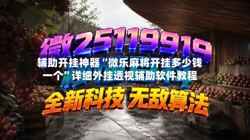 辅助开挂神器“微乐麻将开挂多少钱一个”详细外挂透视辅助软件教程