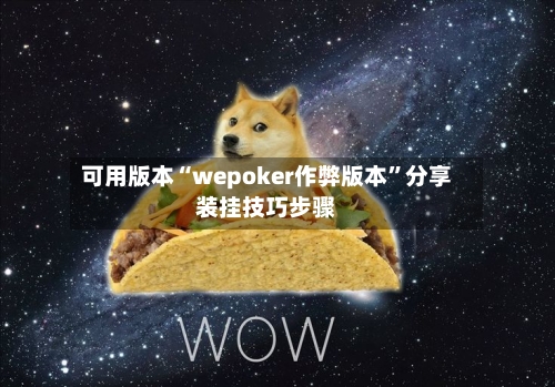 可用版本“wepoker作弊版本	”分享装挂技巧步骤-第2张图片