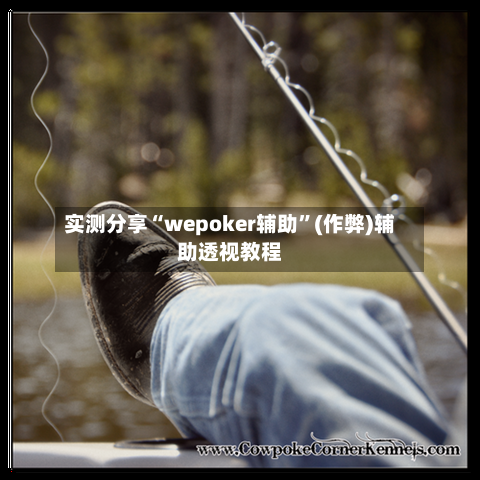 实测分享“wepoker辅助	”(作弊)辅助透视教程-第1张图片