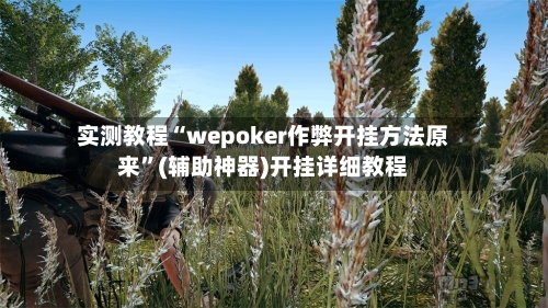 实测教程“wepoker作弊开挂方法原来	”(辅助神器)开挂详细教程-第2张图片