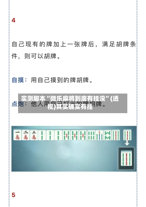 实测脚本“微乐麻将到底有挂没”(透视)其实确实有挂-第3张图片