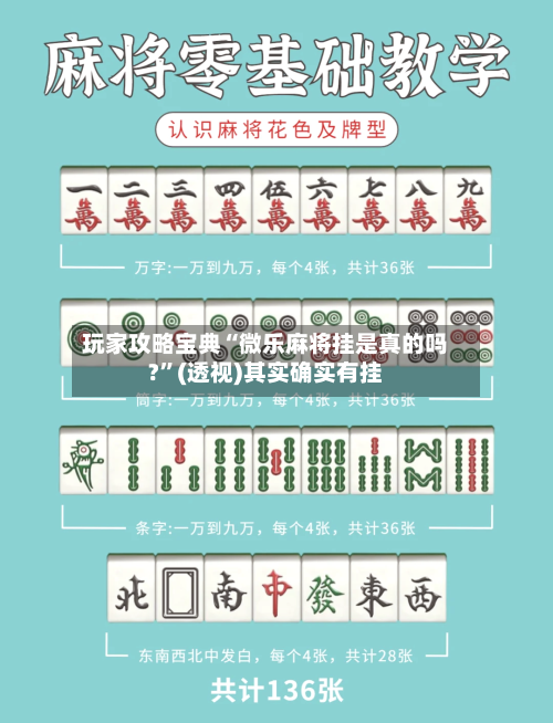 玩家攻略宝典“微乐麻将挂是真的吗?”(透视)其实确实有挂-第2张图片