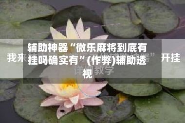 辅助神器“微乐麻将到底有挂吗确实有”(作弊)辅助透视-第3张图片