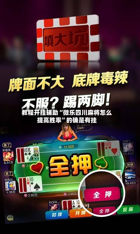 教程开挂辅助“微乐四川麻将怎么提高胜率”的确是有挂-第3张图片