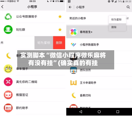 实测脚本“微信小程序微乐麻将有没有挂	”(确实真的有挂-第2张图片