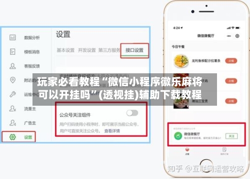 玩家必看教程“微信小程序徽乐麻将可以开挂吗”(透视挂)辅助下载教程-第3张图片